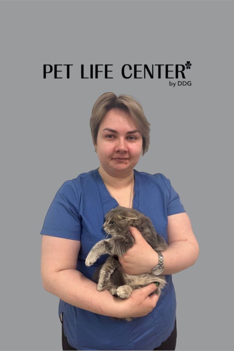 Ветеринарный центр Pet Life Center by DDG, Санкт-Петербург